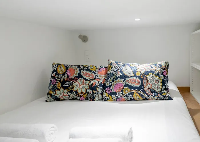 Lavie Maison Little Studio